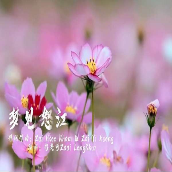ᥘᥩᥢᥰ ᥜᥢᥴ ᥘᥛᥳ ᥑᥨᥒᥰ(ၼွၼ်းၾၼ်ၼမ်ႉၶူင်း)[梦见怒江] - ၸႆၢးလႅင်းၶိူဝ်း  仔亮可